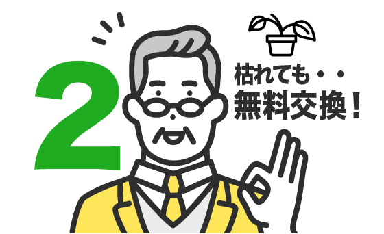 枯れてしまったら無料で交換