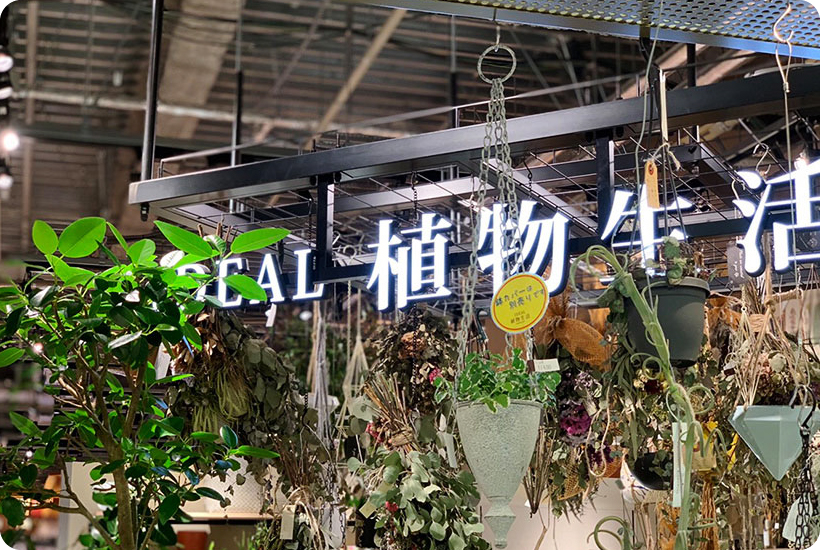 IDEAL植物生活